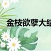 金枝欲孽大結(jié)局（金枝欲孽大結(jié)局是什么）