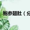 鮑參翅肚（分別指什么 鮑參翅肚怎么理解）