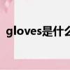 gloves是什么意思中文（gloves單詞例句）