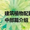 建筑植物配置：中部篇（關(guān)于建筑植物配置：中部篇介紹）