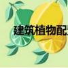 建筑植物配置（關(guān)于建筑植物配置介紹）