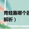 青蛙靠哪個器官呼吸（青蛙靠哪個器官呼吸的解析）