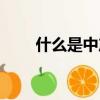 什么是中產(chǎn)階級（中產(chǎn)階級的解釋）