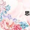 思舊（關于思舊介紹）