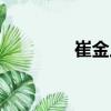 崔金川（關(guān)于崔金川簡(jiǎn)介）