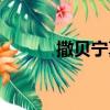 撒貝寧真實身高（撒貝寧簡介）