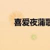 喜愛(ài)夜蒲歌詞（喜愛(ài)夜蒲主題曲歌詞）