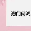 澳門何鴻燊一生成就（何鴻燊簡介）