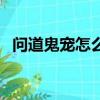 問(wèn)道鬼寵怎么獲得?。▎?wèn)道鬼寵如何獲得）
