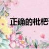 正確的枇杷膏做法（具體的步驟是什么）
