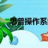 思普操作系統(tǒng)（關(guān)于思普操作系統(tǒng)介紹）