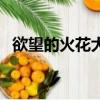 欲望的火花大結(jié)局（欲望的火花劇情簡(jiǎn)介）