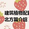 建筑植物配置：北方篇（關(guān)于建筑植物配置：北方篇介紹）