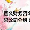 宜久財務咨詢有限公司（關(guān)于宜久財務咨詢有限公司介紹）