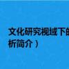 文化研究視域下的個(gè)案分析（關(guān)于文化研究視域下的個(gè)案分析簡(jiǎn)介）