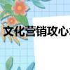 文化營(yíng)銷攻心術(shù)（關(guān)于文化營(yíng)銷攻心術(shù)簡(jiǎn)介）