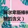 阿爾卑斯棒棒糖的含義是什么（阿爾卑斯棒棒糖的含義）