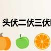 頭伏二伏三伏吃什么（頭伏二伏三伏的飲食）