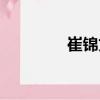 崔錦文（關于崔錦文簡介）