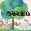 海馬和鯨魚(yú)哪個(gè)是真正的魚(yú)（你知道嗎）