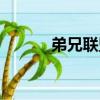 弟兄聯(lián)盟（關(guān)于弟兄聯(lián)盟介紹）