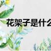 花架子是什么意思（花架子的意思是什么）