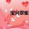 寶興翠雀花（關(guān)于寶興翠雀花介紹）