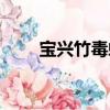 寶興竹毒蛾（關(guān)于寶興竹毒蛾介紹）