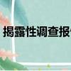 揭露性調(diào)查報告（關于揭露性調(diào)查報告簡介）