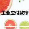 工業(yè)應(yīng)付款審計(jì)（關(guān)于工業(yè)應(yīng)付款審計(jì)簡(jiǎn)介）