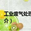 工業(yè)廢氣處理設(shè)備（關(guān)于工業(yè)廢氣處理設(shè)備簡介）