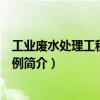 工業(yè)廢水處理工程設(shè)計(jì)實(shí)例（關(guān)于工業(yè)廢水處理工程設(shè)計(jì)實(shí)例簡(jiǎn)介）
