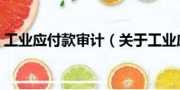 工業(yè)應(yīng)付款審計(jì)(關(guān)于工業(yè)應(yīng)付款審計(jì)簡(jiǎn)介)
