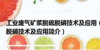 工業(yè)廢氣礦漿脫硫脫硝技術(shù)及應(yīng)用(關(guān)于工業(yè)廢氣礦漿脫硫脫硝技術(shù)及應(yīng)用簡介)