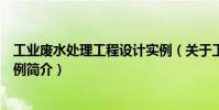 工業(yè)廢水處理工程設(shè)計實例(關(guān)于工業(yè)廢水處理工程設(shè)計實例簡介)