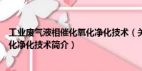 工業(yè)廢氣液相催化氧化凈化技術(shù)(關(guān)于工業(yè)廢氣液相催化氧化凈化技術(shù)簡介)