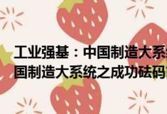 工業(yè)強(qiáng)基：中國(guó)制造大系統(tǒng)之成功砝碼（關(guān)于工業(yè)強(qiáng)基：中國(guó)制造大系統(tǒng)之成功砝碼簡(jiǎn)介）