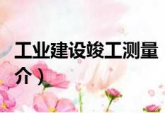 工業(yè)建設(shè)竣工測(cè)量（關(guān)于工業(yè)建設(shè)竣工測(cè)量簡(jiǎn)介）