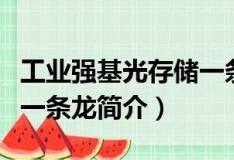 工業(yè)強(qiáng)基光存儲(chǔ)一條龍（關(guān)于工業(yè)強(qiáng)基光存儲(chǔ)一條龍簡(jiǎn)介）