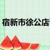 宿新市徐公店詩意翻譯（宿新市徐公店詩意）