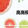 高高模型logo圖（高高模型）