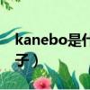 kanebo是什么牌子襪子（kanebo是什么牌子）