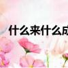 什么來什么成語大全（什么來之什么成語）