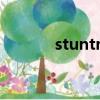 stuntman復(fù)數(shù)（stuntman）