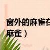 窗外的麻雀在電線桿上多嘴是哪首歌（窗外的麻雀）