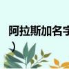 阿拉斯加名字取什么好聽男生（阿拉斯加名字）