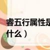 睿五行屬性是什么字體圖片（睿的五行屬性是什么）