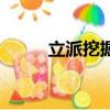 立派挖掘機多少錢（立派挖掘機）