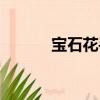 寶石花手表怎樣（寶石花手表）