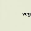 vegaai官網(wǎng)下載（veva）